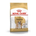 Royal Canin Bulldog Adult, 12 kg