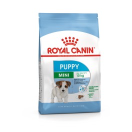 Royal Canin Mini Junior, 8 kg